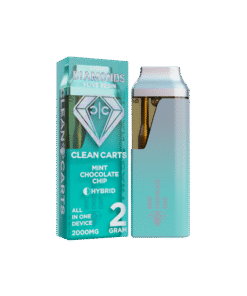 MINT CHOCOLATE CHIP